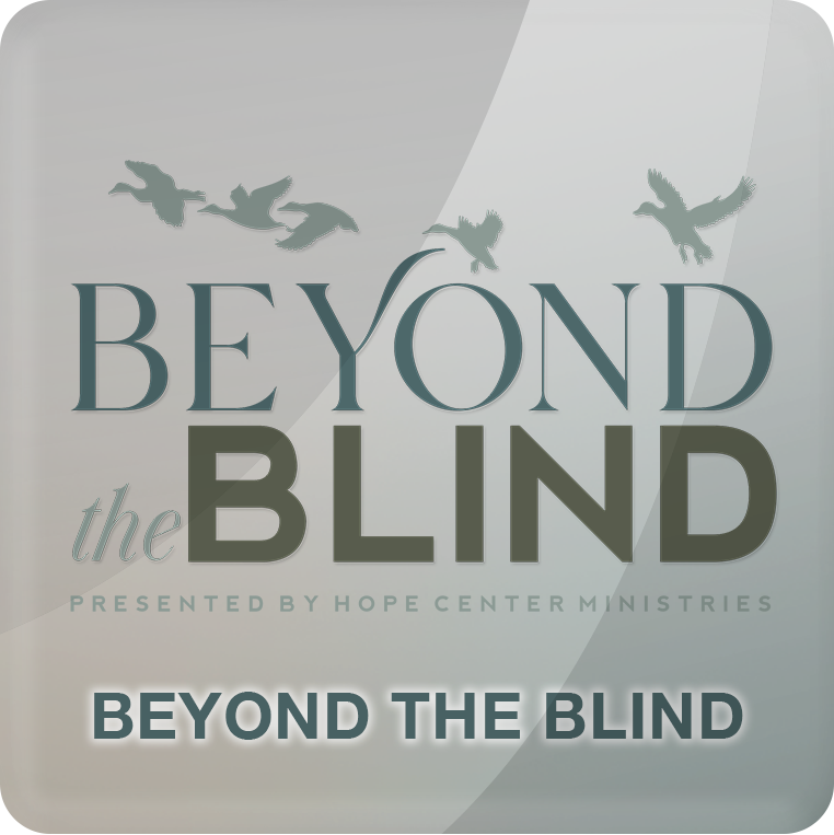 Beyond the Blind